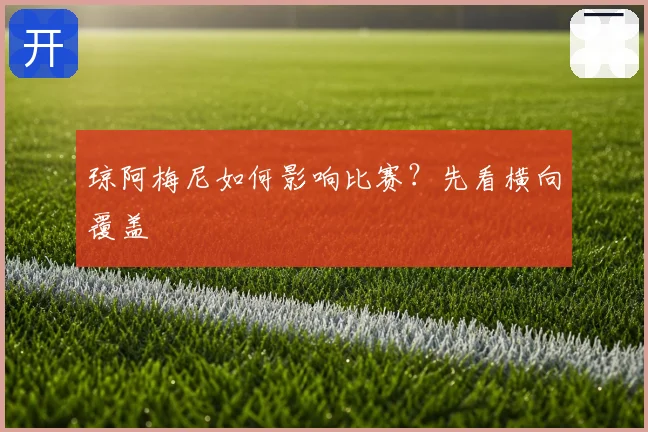 琼阿梅尼如何影响比赛?先看横向覆盖